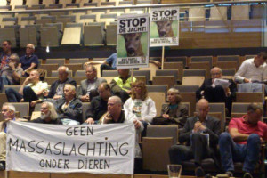 PvdA veroordeelt eenzijdig besluit tot ganzenjacht Overijssel
