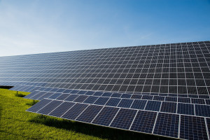 Provincie Overijssel verscherpt voorwaarden aanleg zonneparken op natuur- en landbouwgrond