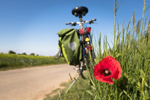 Provincie Overijssel bevordert bewegwijzering fietsroutes