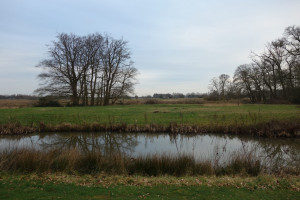 Werkbezoek aan ons landschap: PvdA te gast bij Landschap Overijssel